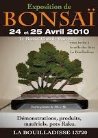 https://sites.google.com/site/tenjodo/galeries/Les-Expo-o-nous-tions/expo-2010
