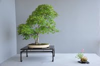 https://sites.google.com/site/tenjodo/galeries/Les-Expo-o-nous-tions/monaco-2014/expo-scuola-jmj/Dsc_3320.jpg
