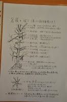 https://sites.google.com/site/tenjodo/galeries/scuola-d-arte-bonsai/cours-n/cours-n-vii-oct-2014/Dsc_4876.jpg