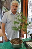 https://sites.google.com/site/tenjodo/galeries/scuola-d-arte-bonsai/cours-n/cours-n-vii-oct-2014/Dsc_4898.jpg
