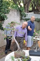 https://sites.google.com/site/tenjodo/galeries/scuola-d-arte-bonsai/cours-n/cours-n-vii-oct-2014/Dsc_4903.jpg