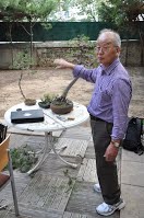 https://sites.google.com/site/tenjodo/galeries/scuola-d-arte-bonsai/cours-n/cours-n-vii-oct-2014/Dsc_4909.jpg