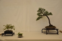 https://sites.google.com/site/tenjodo/galeries/Les-Expo-o-nous-tions/st-tulle-2014/Dsc_4832.jpg