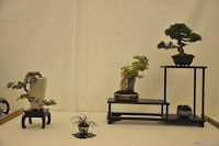 https://sites.google.com/site/tenjodo/galeries/Les-Expo-o-nous-tions/st-tulle-2014/Dsc_4705.jpg