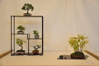 https://sites.google.com/site/tenjodo/galeries/Les-Expo-o-nous-tions/st-tulle-2014/Dsc_4815.jpg