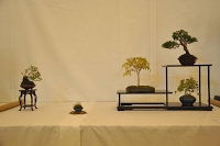 https://sites.google.com/site/tenjodo/galeries/Les-Expo-o-nous-tions/st-tulle-2014/Dsc_4822.jpg