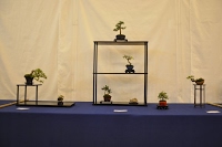 https://sites.google.com/site/tenjodo/galeries/Les-Expo-o-nous-tions/st-tulle-2014/Dsc_4805.jpg