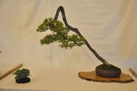 https://sites.google.com/site/tenjodo/galeries/Les-Expo-o-nous-tions/st-tulle-2014/Dsc_4826.jpg
