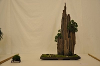 https://sites.google.com/site/tenjodo/galeries/Les-Expo-o-nous-tions/st-tulle-2014/Dsc_4868.jpg