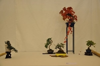 https://sites.google.com/site/tenjodo/galeries/Les-Expo-o-nous-tions/st-tulle-2014/Dsc_4872.jpg