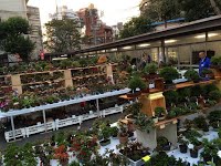 https://sites.google.com/site/tenjodo/galeries/sami-au-japon/marches-bonsai/image-fac536df0c8f3f25104d8c6246925c30f06de82f536d7f6bb3d64f04844e82db-V.jpg