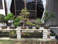 https://sites.google.com/site/tenjodo/galeries/sami-au-japon/visite-chez-me-otani