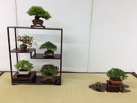https://sites.google.com/site/tenjodo/galeries/sami-au-japon/shuga-ten-bonsai-exposition