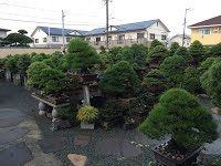 https://sites.google.com/site/tenjodo/galeries/sami-au-japon/chez-me-suzuki