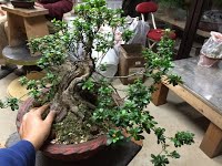 https://sites.google.com/site/tenjodo/galeries/sami-au-japon/chez-me-suzuki/l-atelier/image-182d417bc9010c1902793597b2c80b59019906b607df2509374d9c6ffad2be94-V.jpg