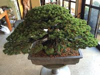https://sites.google.com/site/tenjodo/galeries/sami-au-japon/chez-me-suzuki/l-atelier/image-a4c578b4d88f574ef0500931c38d05fca868147b49d35dba936e703249f82be8-V.jpg