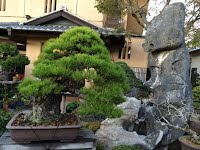 https://sites.google.com/site/tenjodo/galeries/sami-au-japon/chez-me-suzuki/le-jardin/image-1d0045c40f081553558ac66e12cb92c28fac23832da7ef2b094a6b2c0ee686ba-V.jpg