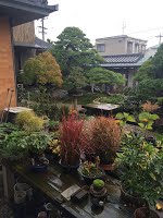 https://sites.google.com/site/tenjodo/galeries/sami-au-japon/chez-me-suzuki/le-jardin/image-573f9280d0daccc770d4c9bf1e9661f1154d105a0998312b96fddae510a97f37-V.jpg