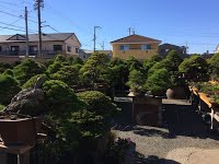 https://sites.google.com/site/tenjodo/galeries/sami-au-japon/chez-me-suzuki/le-jardin/image-594fa67cf5e01d212b937cd6f5b7bc18545a2520714b4624c1baf88e69380e72-V.jpg