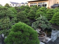https://sites.google.com/site/tenjodo/galeries/sami-au-japon/chez-me-suzuki/le-jardin/image-4161be60b58234c41ebc874d5ff9447700fd0db5fb37d691441091f79b77ea58-V.jpg