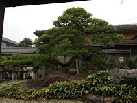 https://sites.google.com/site/tenjodo/galeries/sami-au-japon/chez-me-suzuki/le-jardin/image-5084db3c55376ebbfd9ad59a56680cc1831b97f5bb4b1eda3ed97039b02220d7-V.jpg
