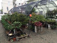 https://sites.google.com/site/tenjodo/galeries/sami-au-japon/chez-me-suzuki/le-jardin/image-3296247ce95570b175c8de17bd9cf4934ad1740d96e3769598797e20f413cacc-V.jpg