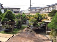 https://sites.google.com/site/tenjodo/galeries/sami-au-japon/chez-me-suzuki/le-jardin/image-a317bd82385eda806e8991019710e654aabe54b6709d0d754b5e8443c3bedcae-V.jpg