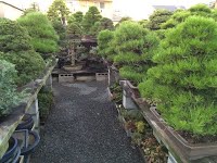 https://sites.google.com/site/tenjodo/galeries/sami-au-japon/chez-me-suzuki/le-jardin/image-d92d3bac92688dce73096019347e2fcd1e41d9b71975d21d99c390b44e6794ed-V.jpg