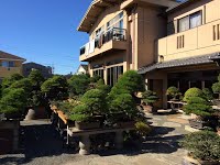 https://sites.google.com/site/tenjodo/galeries/sami-au-japon/chez-me-suzuki/le-jardin/image-dbf72d7a6e271bace3b2cecab3a4784b43195affc2df52d67eb4100c6ecb7a7e-V.jpg