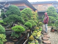 https://sites.google.com/site/tenjodo/galeries/sami-au-japon/chez-me-suzuki/le-jardin/image-f4b879e92f250ec5ab56652c0d65057fbf1c322bc313ebf6aac2293c37e72e88-V.jpg