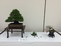 https://sites.google.com/site/tenjodo/galeries/sami-au-japon/exposition-du-club-de-la-ville-de-toyota