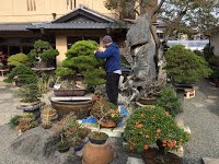 https://sites.google.com/site/tenjodo/galeries/sami-au-japon/chez-me-suzuki/l-atelier/image-62f9e0a9fb8dfd0480d1daceeba74a73eeb42e9fa71c1b53fb77e3f7b903ef24-V.jpg