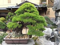 https://sites.google.com/site/tenjodo/galeries/sami-au-japon/chez-me-suzuki/l-atelier/image-65a4937f304e16c873b8db7ae58b87819790f253c6f7c19597952ac30b3081d6-V.jpg