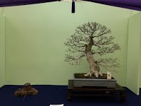 https://sites.google.com/site/tenjodo/galeries/sami-au-japon/taikan-ten-2014