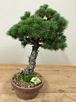 https://sites.google.com/site/tenjodo/galeries/sami-au-japon/chez-me-suzuki/l-atelier/image-ab0d4916239039cc05e6a0b2a7c813e85bf8c98b652ba318de33ccb2541b447a-V.jpg
