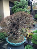 https://sites.google.com/site/tenjodo/galeries/sami-au-japon/chez-me-suzuki/l-atelier/image-b8d52ac6cf6bd60d2a82e2d23c6ee5cd80495cfff9a6cd7efed019386465b194-V.jpg