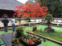 https://sites.google.com/site/tenjodo/galeries/sami-au-japon/temple-bouddhiste