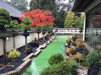 https://sites.google.com/site/tenjodo/galeries/sami-au-japon/temple-bouddhiste/image-7a1bdfde3a7195916126d96571691185dff7c8b673acd6859cb0be644d09d68b-V.jpg
