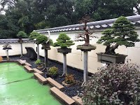 https://sites.google.com/site/tenjodo/galeries/sami-au-japon/temple-bouddhiste/image-c5ac9c6df9cc00df4f4faea70fd1f962e4112c7a56dbeb424d500b6bff78556f-V.jpg