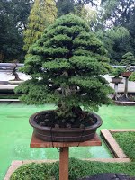 https://sites.google.com/site/tenjodo/galeries/sami-au-japon/temple-bouddhiste/image-815304e71dac7d87189b3347a729bead2b523901ab38547d7404527600f0dff2-V.jpg