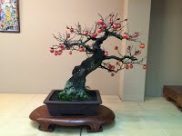 https://sites.google.com/site/tenjodo/galeries/sami-au-japon/temple-bouddhiste/image-58e6198613f60269a73b084fb0ea6f051480b95421a079e390f2a576e1c9a153-V.jpg