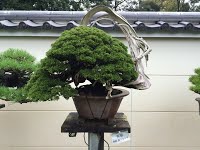 https://sites.google.com/site/tenjodo/galeries/sami-au-japon/temple-bouddhiste/image-882c08ed4c2b2b3e827b864af954b3945e92b2651c7c2fb0d83e1104a445e200-V.jpg