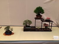https://sites.google.com/site/tenjodo/galeries/sami-au-japon/habikino-city/image-2ebc9119f62207ee69774fa13104df4a7eb5ed6f7db583ede86d63c0e931022b-V.jpg