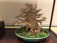 https://sites.google.com/site/tenjodo/galeries/sami-au-japon/habikino-city/image-2e00a5cd0b2e1dfc6f2923792b895dc530d77c6f16aba05e8234140805eb62ec-V.jpg