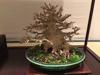 https://sites.google.com/site/tenjodo/galeries/sami-au-japon/habikino-city/image-455c55f836995d5d9ed735c64fec8baaff2f77c94d1ddc41cdce5d41d3222ef5-V.jpg