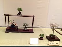 https://sites.google.com/site/tenjodo/galeries/sami-au-japon/habikino-city/image-cd4f22cd92c2c9cb91a48541e98ae6069f04ef7f654abc04e436c692b770bd55-V.jpg