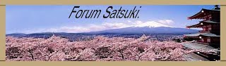 http://satsuki.myrealboard.com