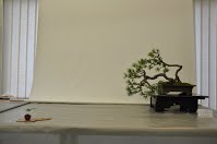 https://sites.google.com/site/tenjodo/galeries/scuola-d-arte-bonsai/cours-n/cours-n-viii/Dsc_6127.jpg