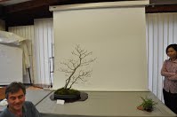 https://sites.google.com/site/tenjodo/galeries/scuola-d-arte-bonsai/cours-n/cours-n-viii/Dsc_6155.jpg