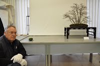 https://sites.google.com/site/tenjodo/galeries/scuola-d-arte-bonsai/cours-n/cours-n-viii/Dsc_6169.jpg